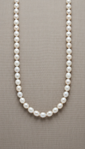 Freshwater Pearl Strand Necklace